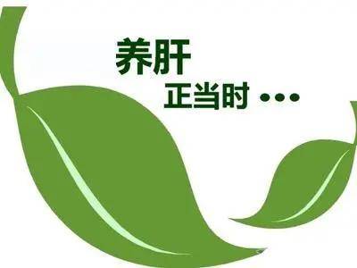 气血|这份中医养生时刻表你知道吗