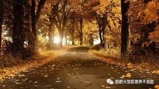 变化|肌营养不良对病人身体会造成那些伤害?