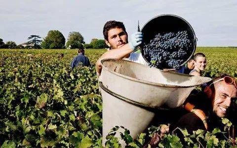 等级|想要买到可以“陈年”的葡萄酒？了解这7个方面，保证你不被忽悠