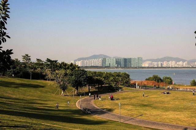 深圳海滨公园走红，号称“抖音最美公园”，交通便利门票0元