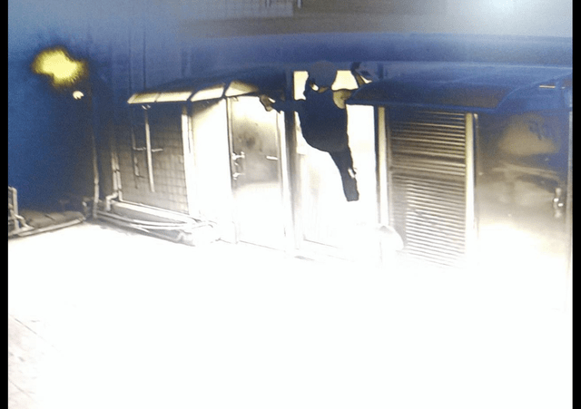 什么猫咪凌晨3点叫醒女主人,窗户下的一幕让她惊出冷汗,马上报警!