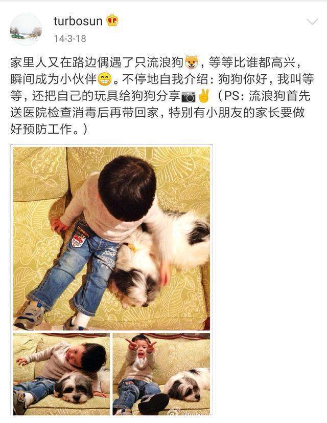 救助孙俪带儿女路边摆摊义卖，救助流浪动物获点赞，但商品定价惹争议