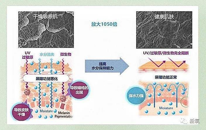 炎症10个网红9个专家，手把手教你如何毁容