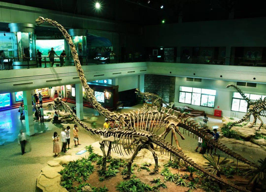 原创世界三大恐龙遗址博物馆之一,是4a级景区