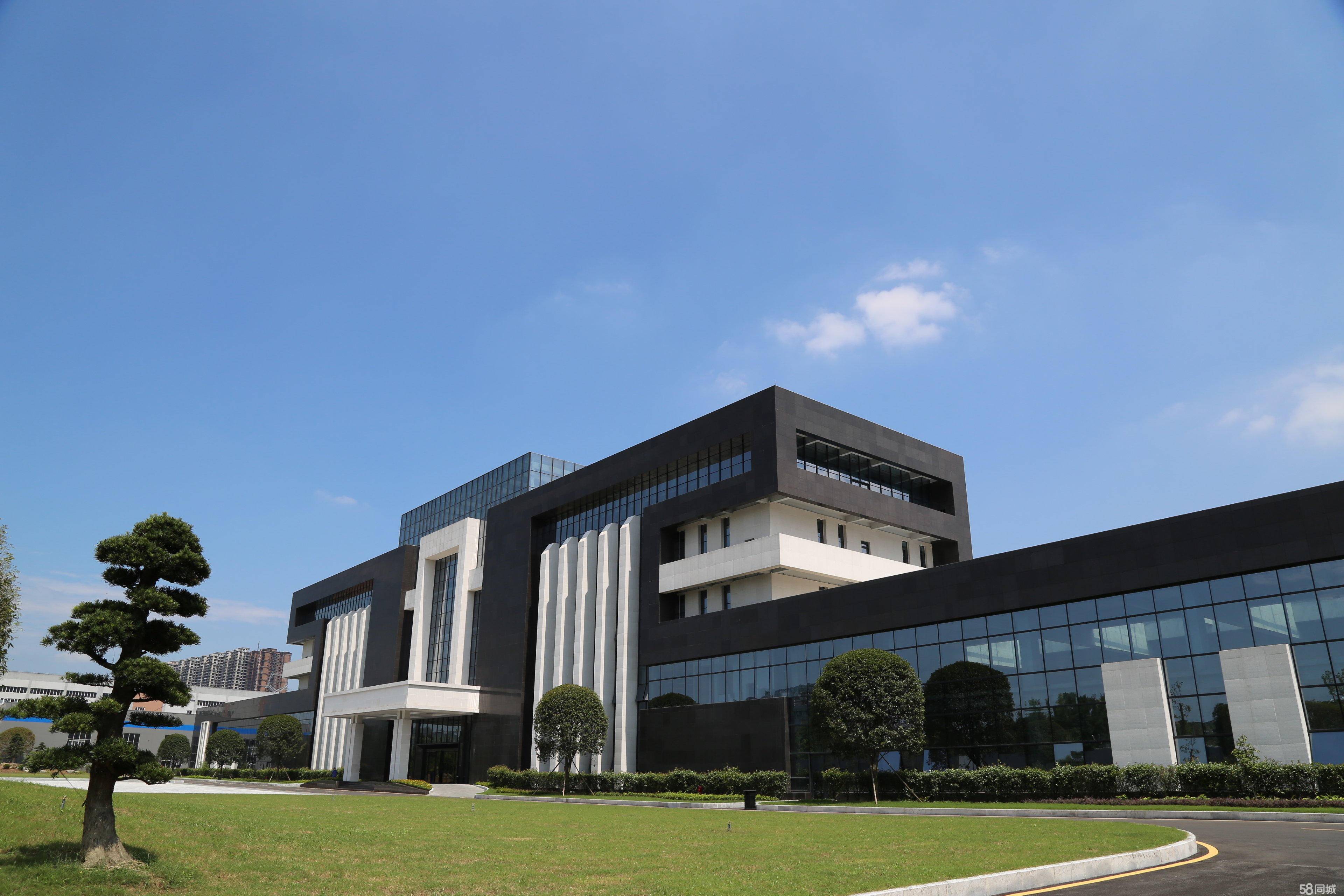 如何设计股权架构