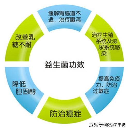 益生菌怎么样保存 edc5a86491314def978c7040a16f3f77.jpeg