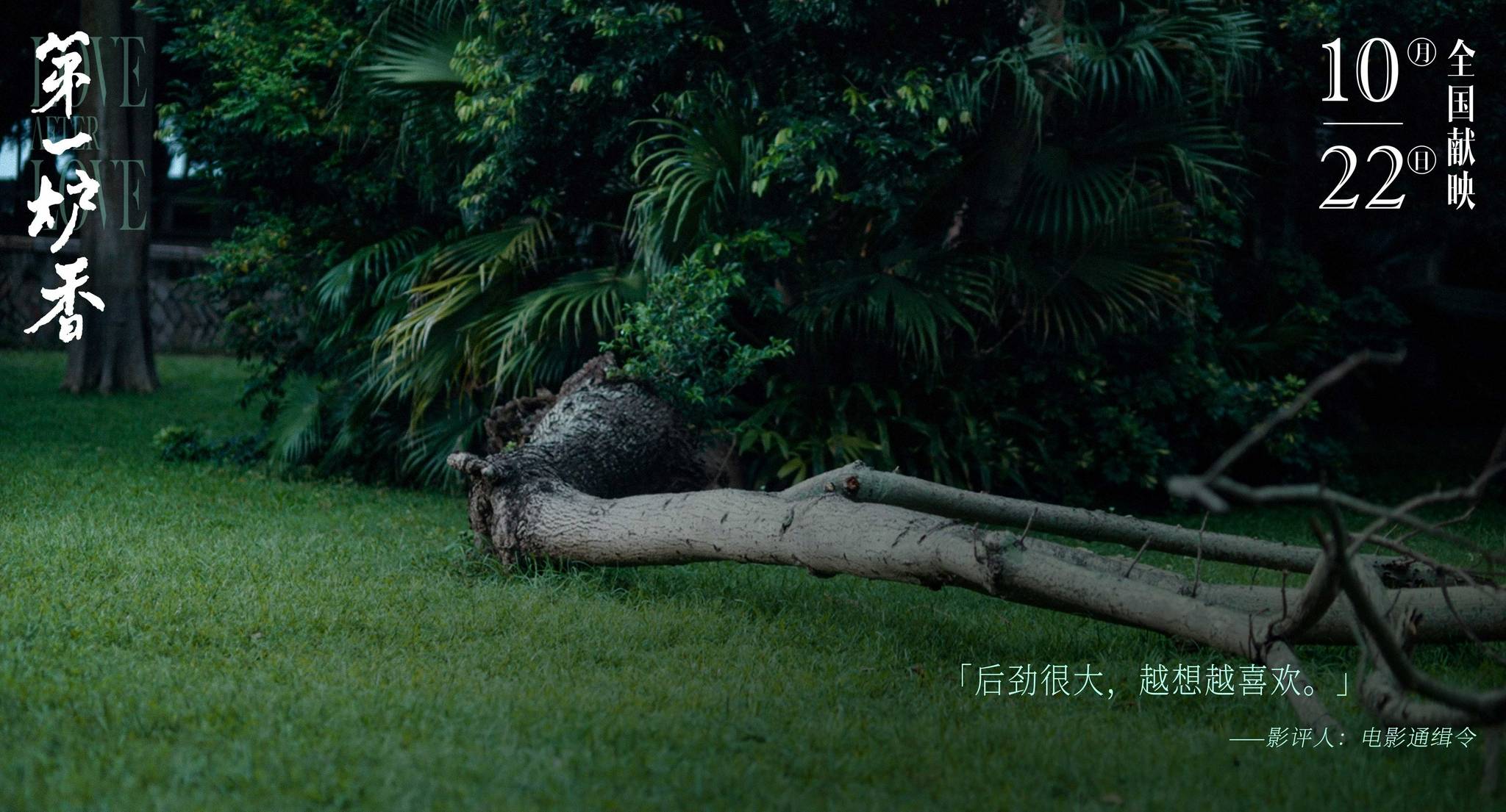 禾和|《第一炉香》首轮口碑释出 “葛薇龙”沉浮命运令观众“意难平”