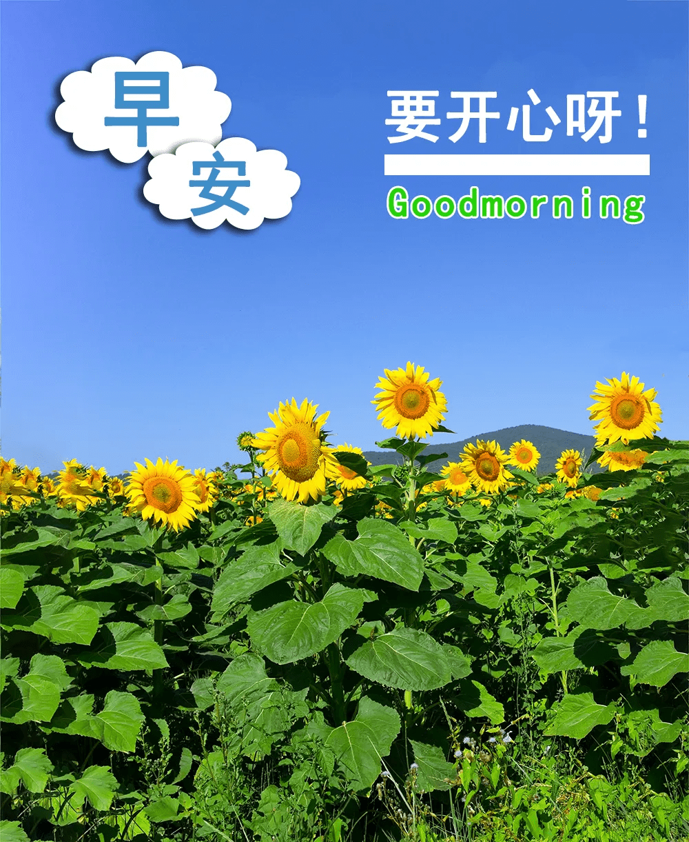 原创朋友圈早安好文案早安带字动态图片祝早安的图片唯美动图