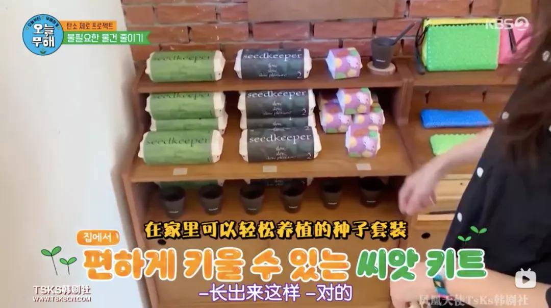 展现|《今天起无害》，一档嘉宾真正当家作主的综艺