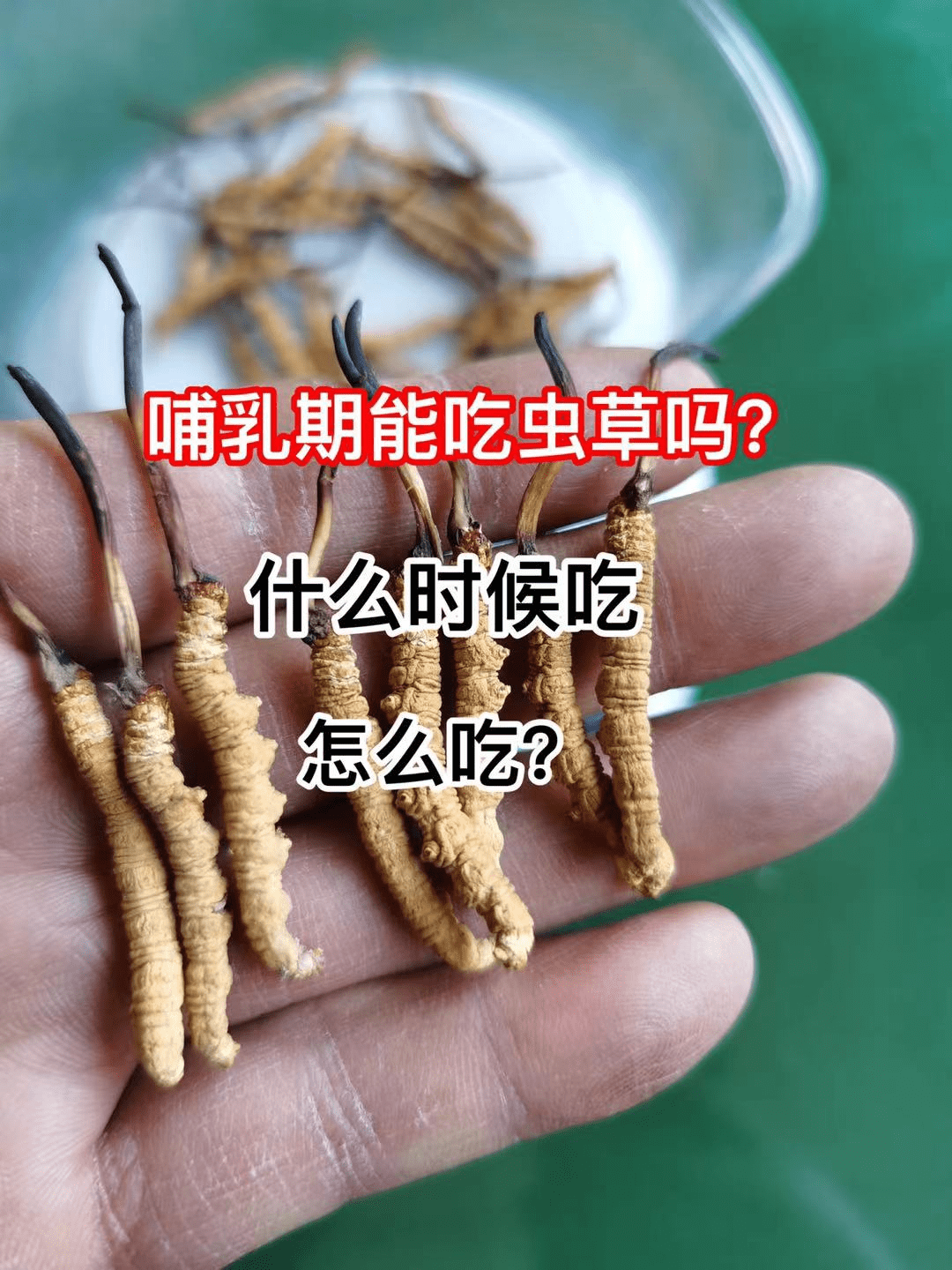 什么时间开始种姜 bfc65cdb6d5747e9a962e18cfffbac6a.png