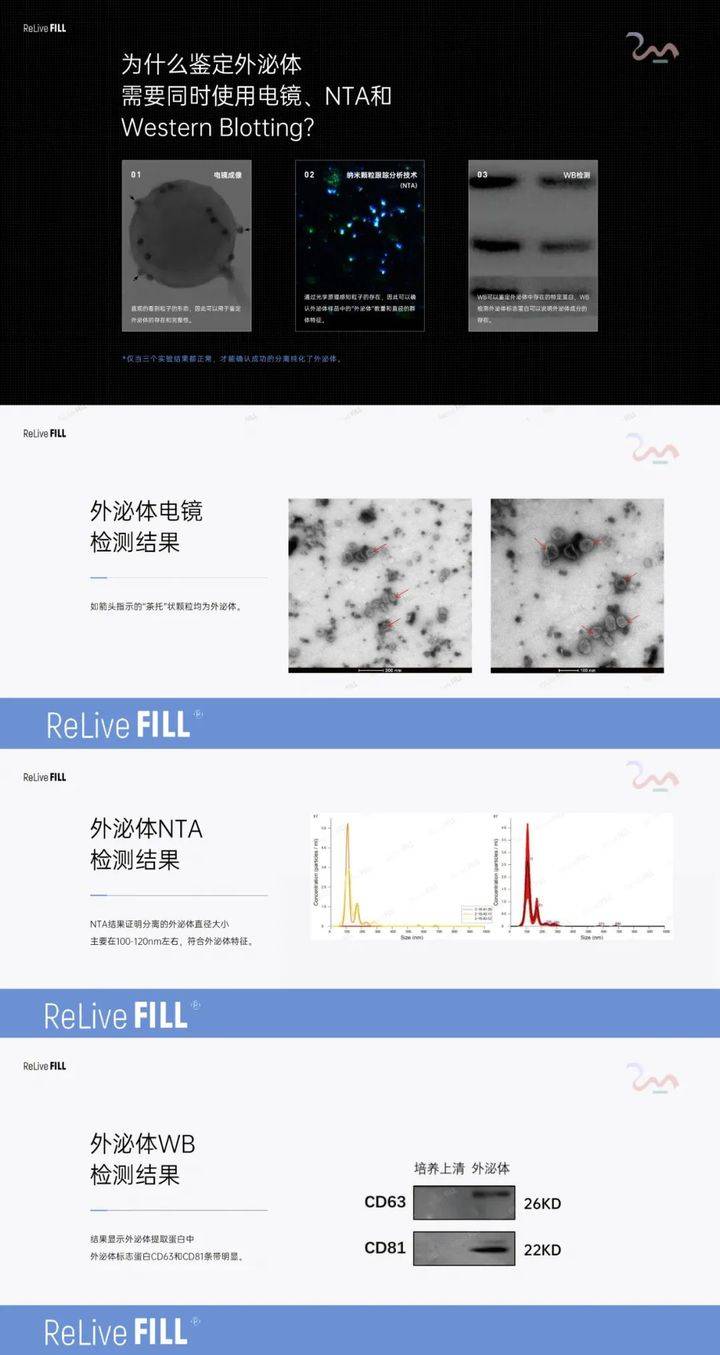 殖和迁移的实验数据四,瑞黎菲在各项试验数据中远超