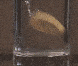 牛奶|央视曝光“夺命保温杯”：女子被ta炸碎眼睛，永远失明！你可能也在用