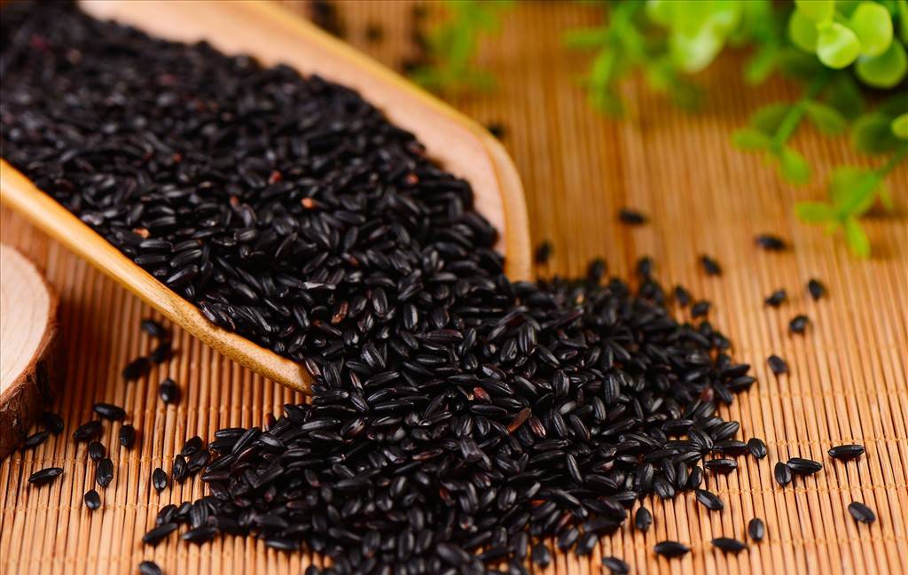 黑米黑糯米傻傻分不清楚掌握这些知识一眼就能看出差别