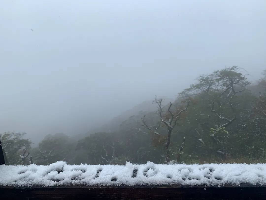 今天，贵州梵净山下雪了