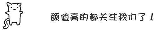 智商狗狗颜值被重新排名，第一名不是阿富汗猎犬，而是它？