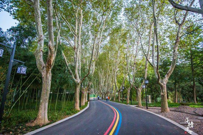 原创南京浦口凤凰山公园,风景秀丽,在这里可以俯揽城市绝美风光