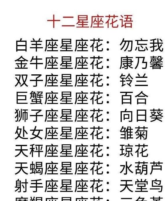 十二星座内心深处的秘密 酒量最好的星座排名 双子座 全网搜