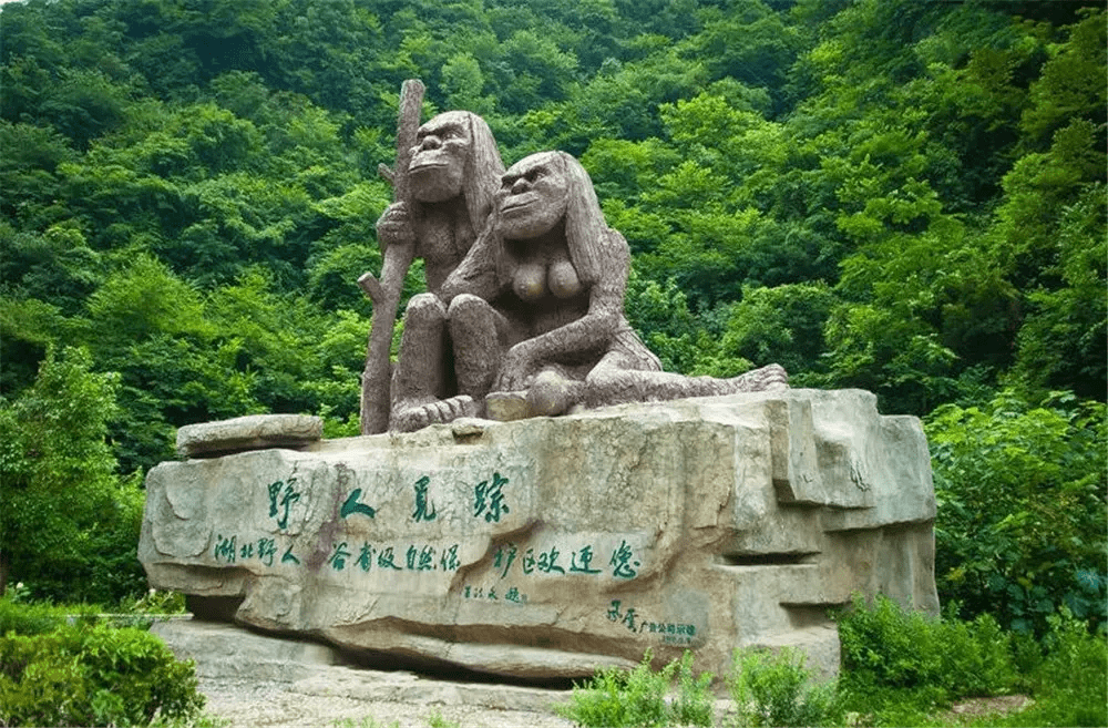 神农架位于湖北省西北部,山峦叠嶂,地形复杂,原始森林茂密,充满了神秘