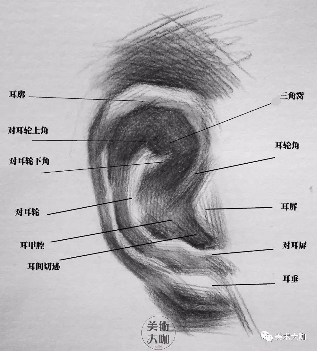 头像素描课堂|素描五官画法大全,看这一篇统统搞定!