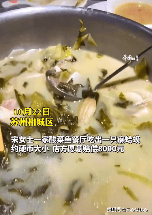 死无对证?苏州一女子吃酸菜鱼吃出癞蛤蟆,店方:可能被鱼吞食_事情