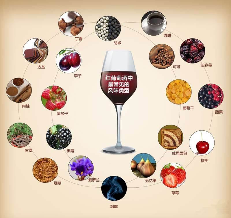 葡萄|葡萄酒有哪些香气？不懂不要紧，记好这些“典型”让你瞬间高大尚