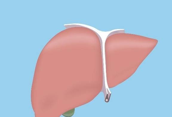 症状|肝不舒服的人,会有3处变黄、2处变臭,若你全没中,肝还算健康!