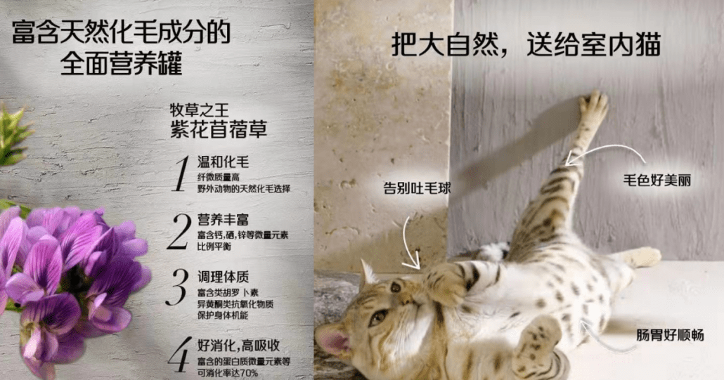 猫粮什么牌子好 肉粒多易消化选trilogy奇境猫粮 猫咪 新闻时间