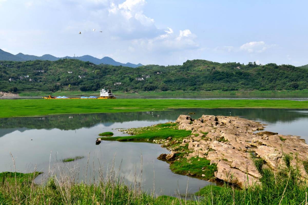 世界人居网·精品丨重庆木洞:中坝岛生态保护修复工程