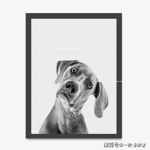 居家动物挂画的风水讲究 生肖