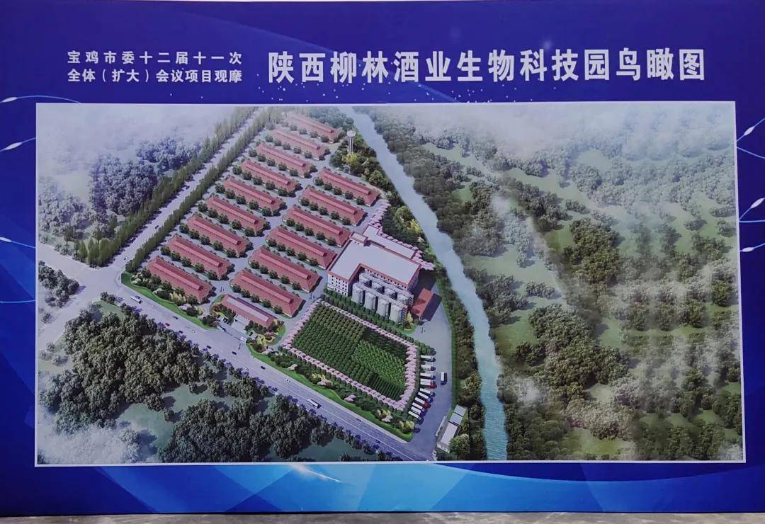 宝鸡凤翔聚焦市委全委会投资2亿元打造柳林酒产业群链