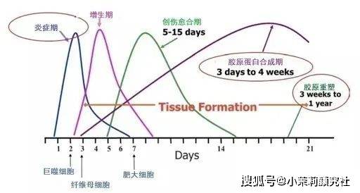 玛吉【小茉莉科普】各类医美项目的保质期