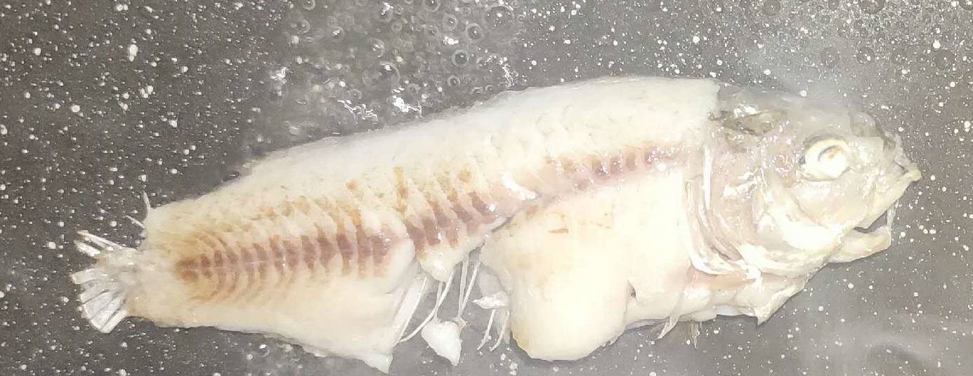 柠檬|早餐来一碗鲜美的鱼汤,宝宝一天的食欲都很好