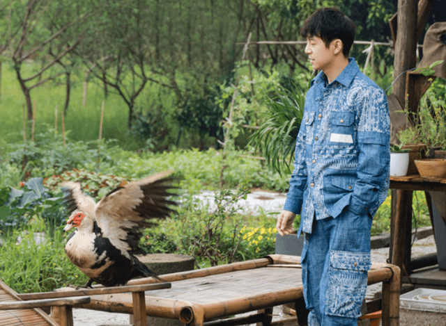 主动|在《萌探》丢失的口碑，那英在《向往5》找回来了，3个细节很暖心！