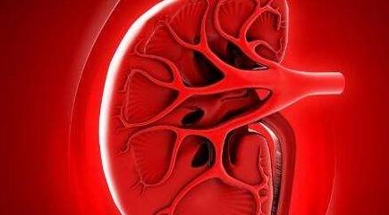 肾脏|肾友避免肾衰竭,这2件事比降肌酐更关键,别大意