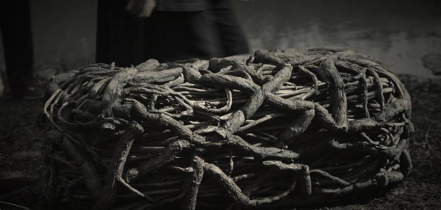 丘山|司藤：白英的计划已经逐渐明了，司藤正在朝着白英预料的方向发展