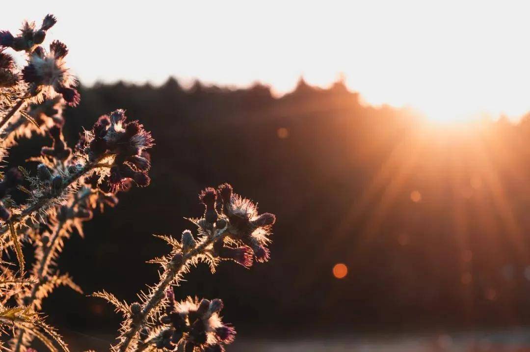 那根|与其抵抗焦虑 不如和情绪「做朋友」