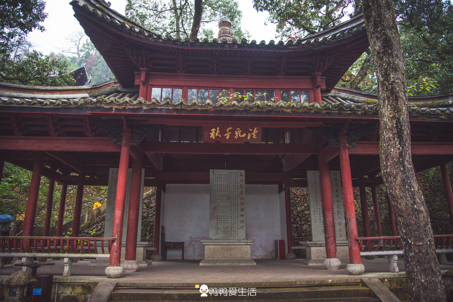 景美|台州1400年名寺为天台宗发源地，景美清幽不收门票，真佛性！