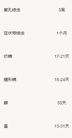 宠物柯基突然就瘸了，医生刚要准备拍片，扒开汪脚趾后定在了原地