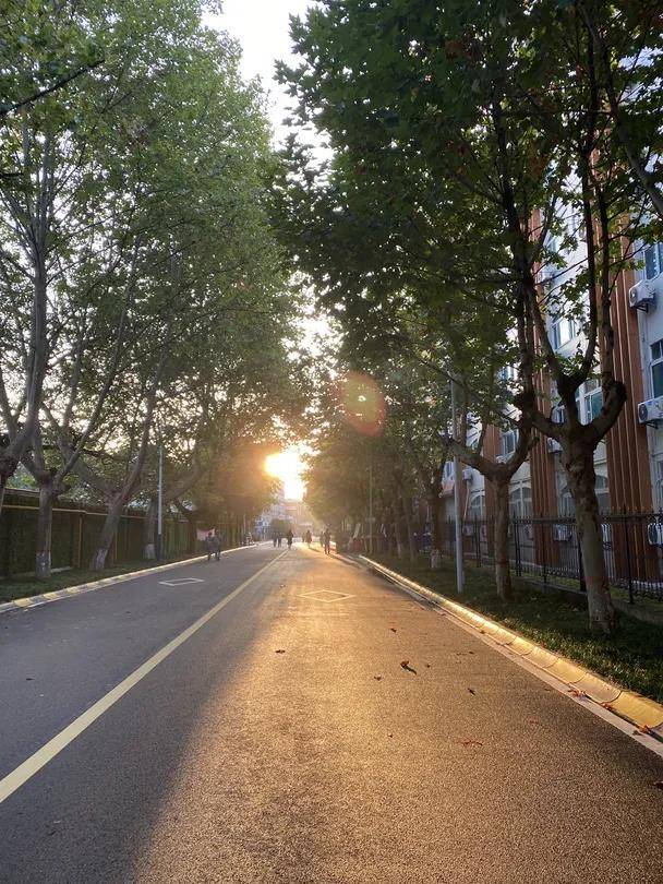 风是|西安翻译学院的风，是什么味道？