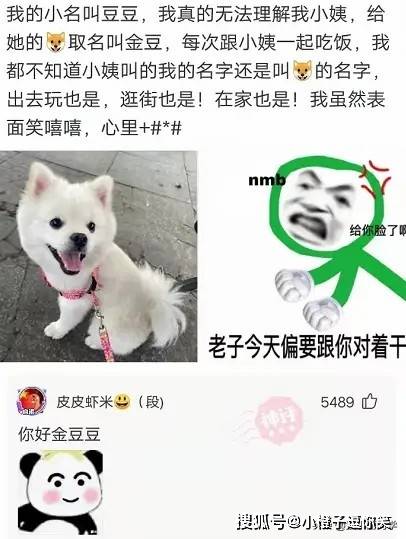 搞笑合集：為什麼離婚以後第一個曬離婚證的都是女人？ 搞笑整蠱 第12张