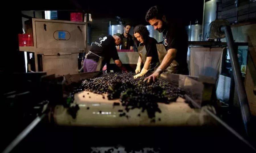 残留|二氧化硫是“有害”物质，为什么要加在葡萄酒中？真相没那么简单