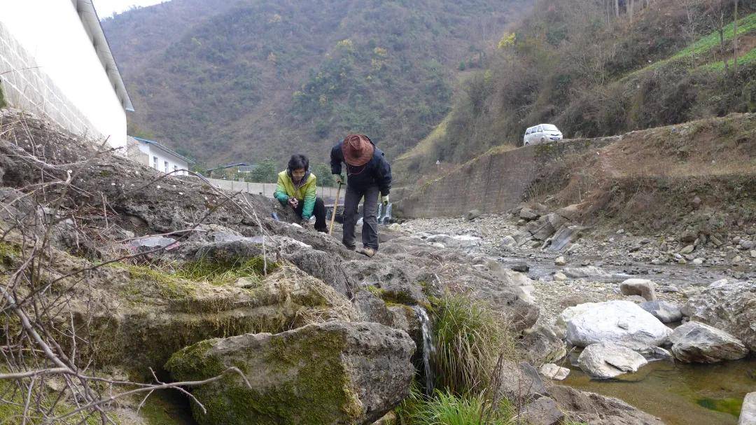 舒德|西北大学博士Nature发文：在陕南镇巴发现地球最早的苔藓虫化石