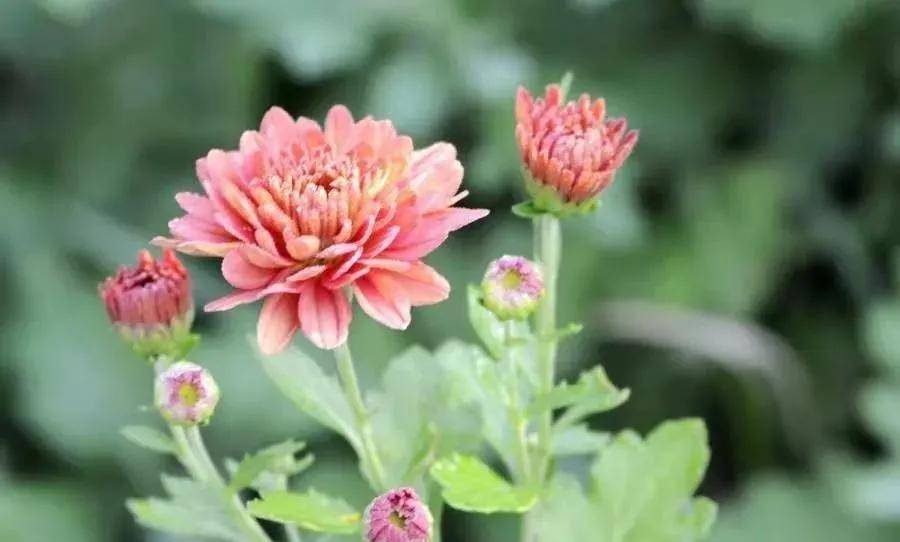 孔令欣|热烈祝贺省青作协七位作家加入河南省散文学会｜河南青作协