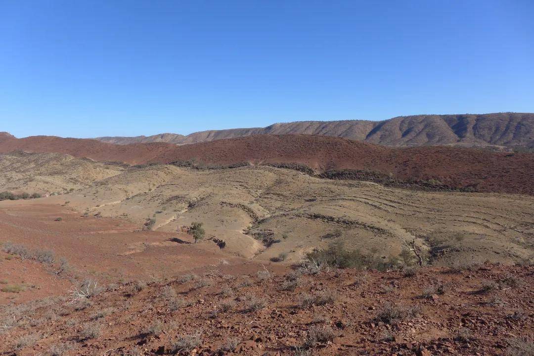 舒德|西北大学博士Nature发文：在陕南镇巴发现地球最早的苔藓虫化石