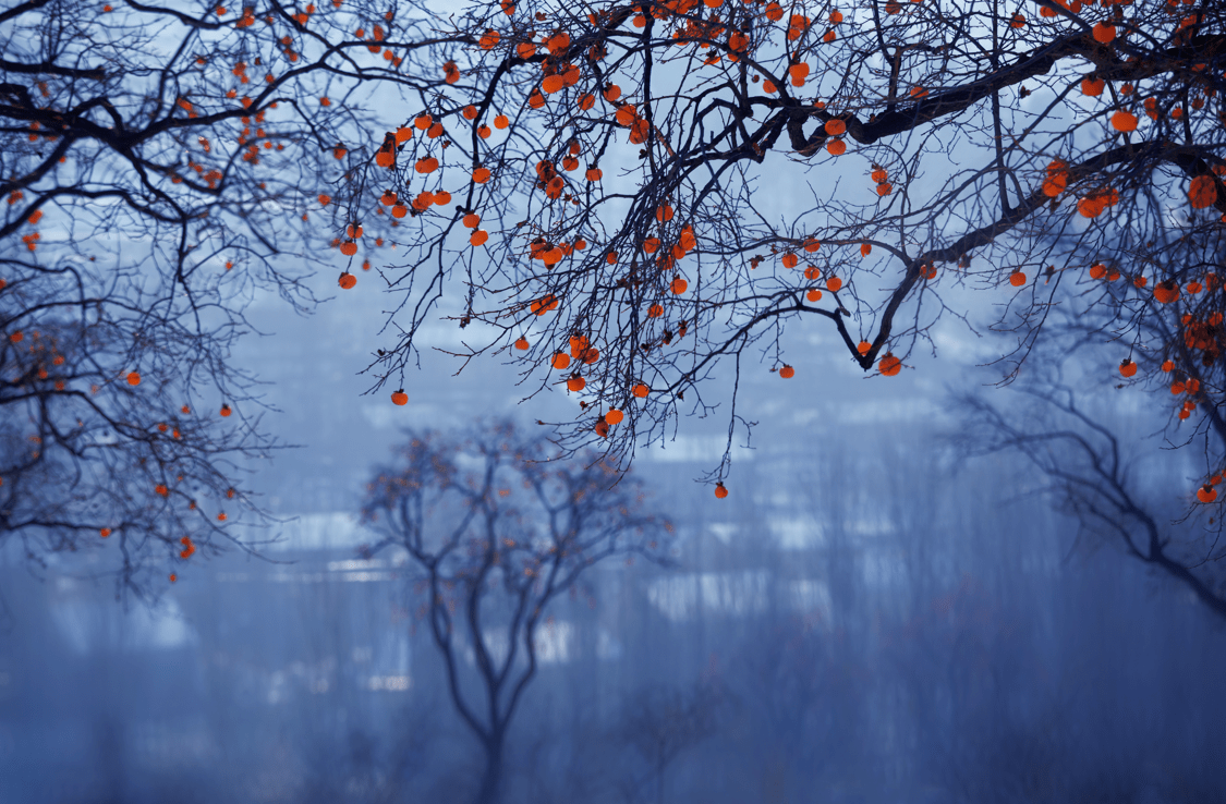 阳气|霜降过后谈养生