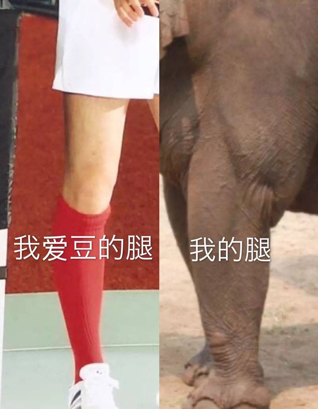 双脚|建议腿粗的女生,学习一下这5个动作,真的能瘦腿!