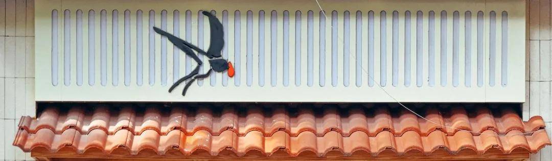 特辑魔都咖啡馆「证件照」特辑，这10家超好拍！