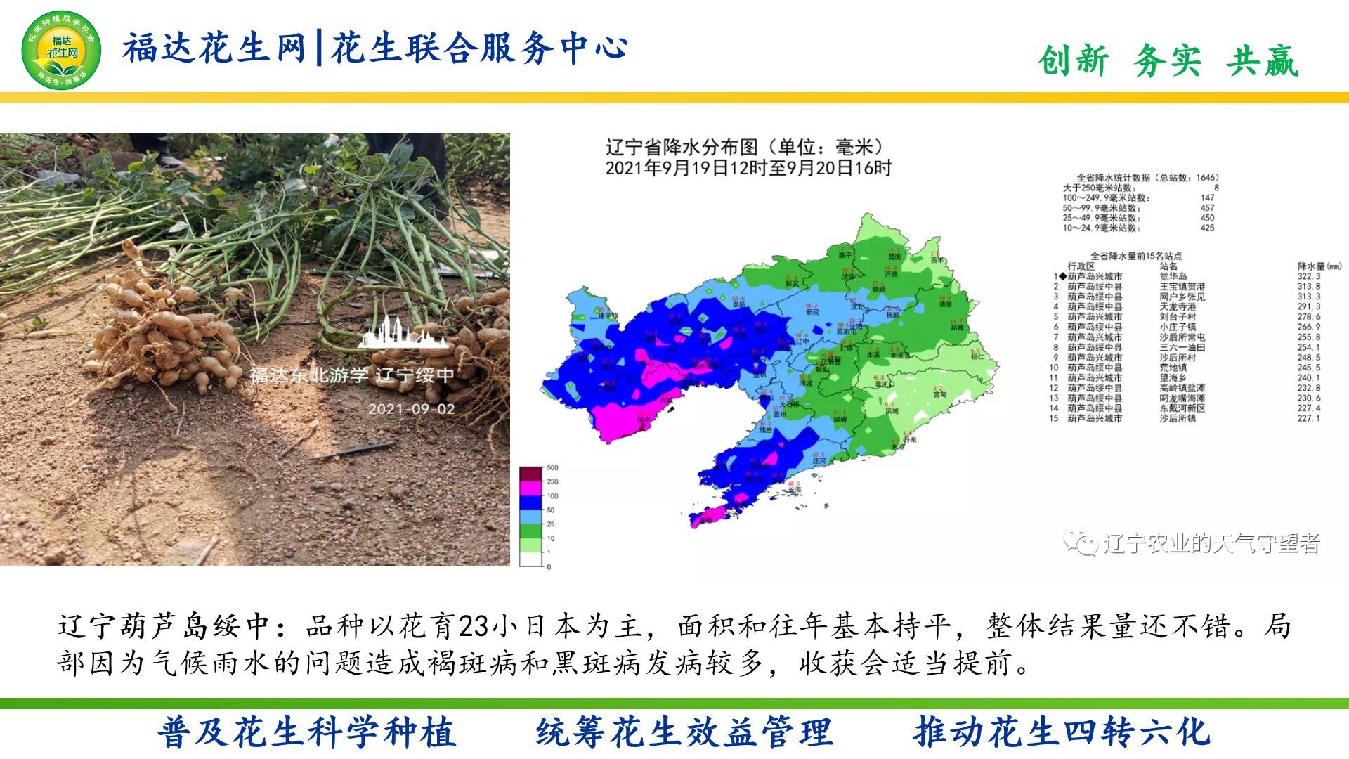 花生分布地区图片