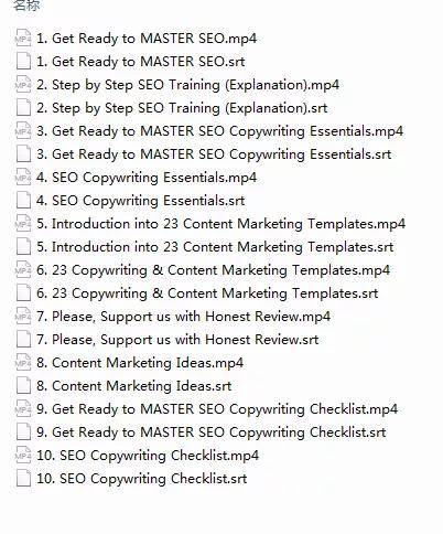 一个独立站项目引流课程《seo最新技术策略2021》