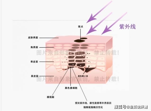 方法一万字美白的方法攻略（超详细，记得点赞收藏），如何全身美白皮肤最快吃什么